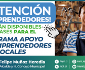 POSTULACIÓN AL FONDO DE EMPRENDEDORES LOCALES 2025