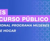 BASES CONCURSO PROFESIONAL PARA EL PROGRAMA “MUJERES JEFAS DE HOGAR”