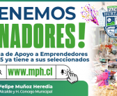 RESULTADOS PROCESO DE POSTULACIÓN AL PROGRAMA DE APOYO A EMPRENDEDORES LOCALES 2025